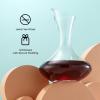 imageJoyJolt Lancia Hand Blown Crystal Wine Decanter and Aerator Glass Red Wine Carafe 750ML