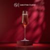 imageJoyJolt Layla White Wine Glasses Set of 4 Italian Glasses 135 oz Clear  Made in EuropeChampagne Glasses
