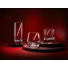 imageJoyJolt Star Wars Darth Vader Lightsaber Stemless Drinking Glass  15 oz  Set of 2Darth Vader Red Lightsaber