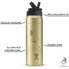 imageJoyJolt Disney MonoMouse Stainless Steel Water Bottle with Flip Straw Lid 22 oz Vacuum Insulated Water Bottle BPAFree Tumbler ft Minnie amp Mickey Mouse  Gold